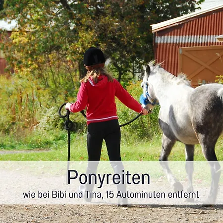 Natur-chalet Zum Nationalpark Franz Inkl. E-auto Allenbach