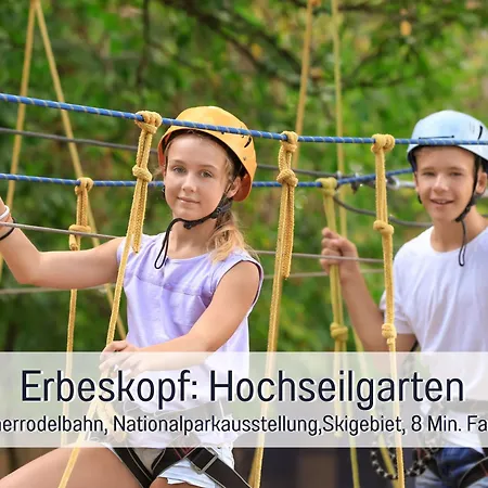 Natur-chalet Zum Nationalpark Franz Inkl. E-auto