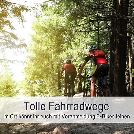 Natur-chalet Zum Nationalpark Franz Inkl. E-auto *