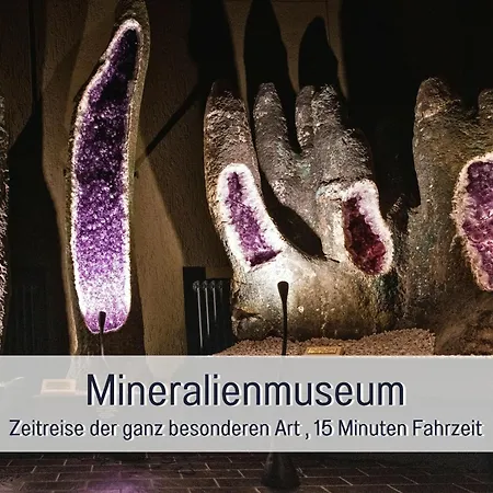 Σπίτι διακοπών Natur-chalet Zum Nationalpark Franz Inkl. E-auto