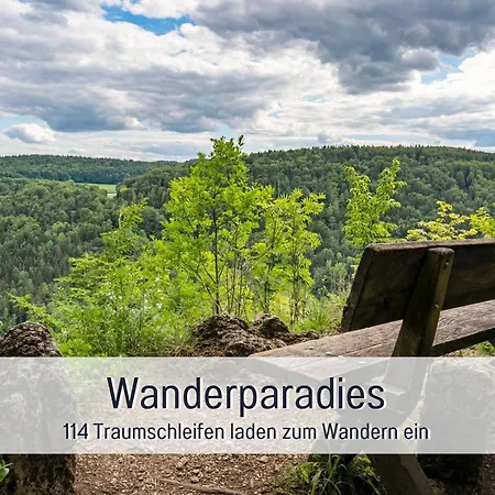 Natur-chalet Zum Nationalpark Franz Inkl. E-auto Semesterbostad Allenbach