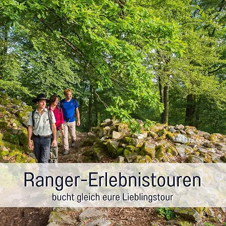 Natur-chalet Zum Nationalpark Franz Inkl. E-auto Prázdninový dům *