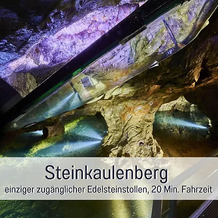 Natur-chalet Zum Nationalpark Franz Inkl. E-auto Allenbach