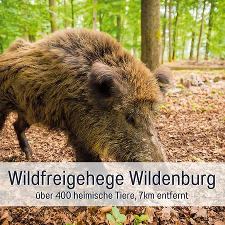 Σπίτι διακοπών Natur-chalet Zum Nationalpark Franz Inkl. E-auto Allenbach