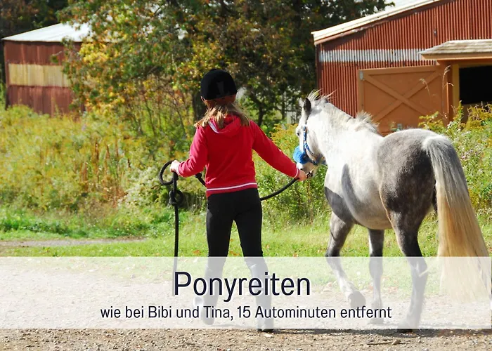 Natur-chalet Zum Nationalpark Franz Inkl. E-auto Allenbach