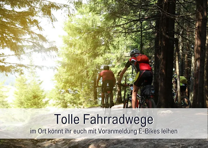 Natur-chalet Zum Nationalpark Franz Inkl. E-auto *