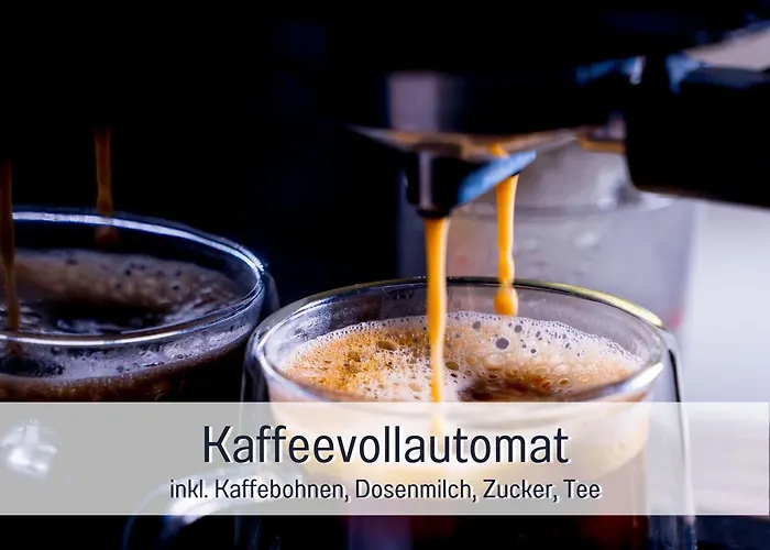 Natur-chalet Zum Nationalpark Franz Inkl. E-auto Allenbach